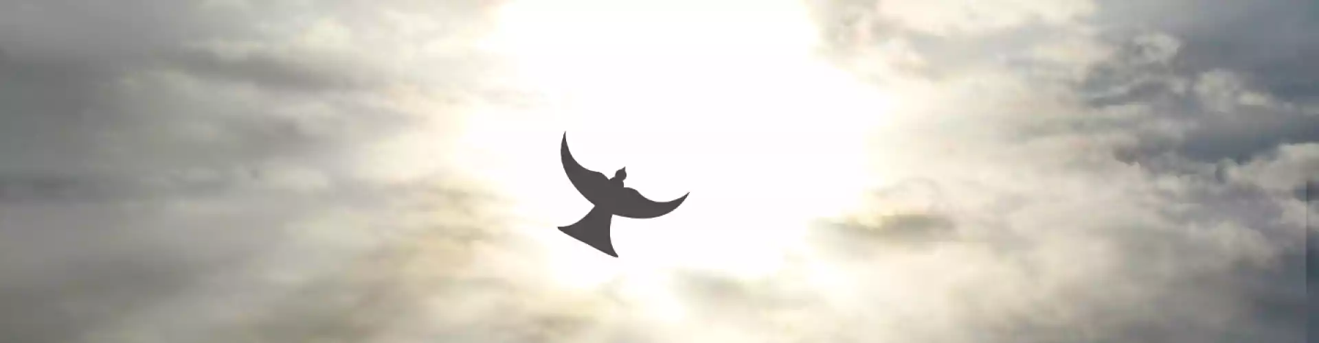 Spirituality "The Missing Link In Mental Wellness" - Online Class by Beth Lynch